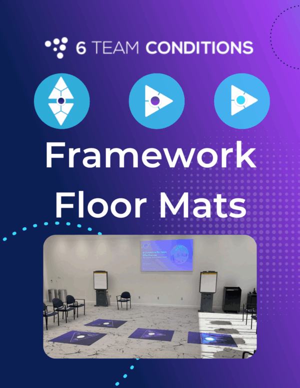 Framework Floor Mats